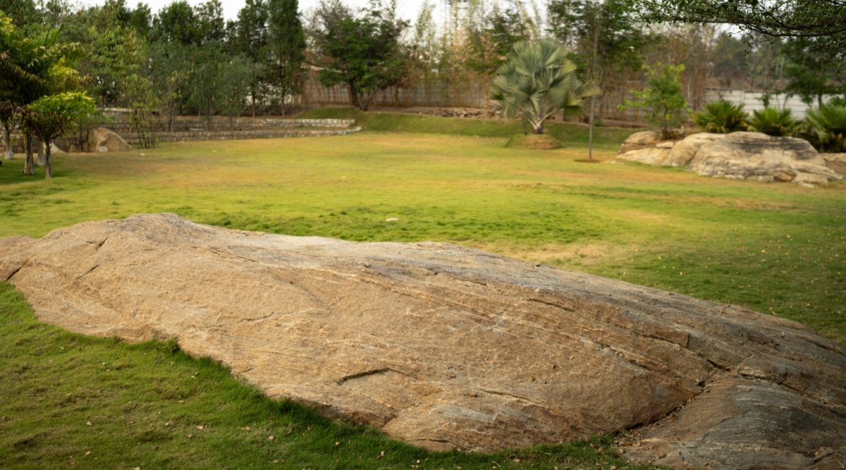 Poolside Lawn Outdoor Venue